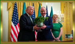 Irish_US_A9.10.58 PM.jpeg